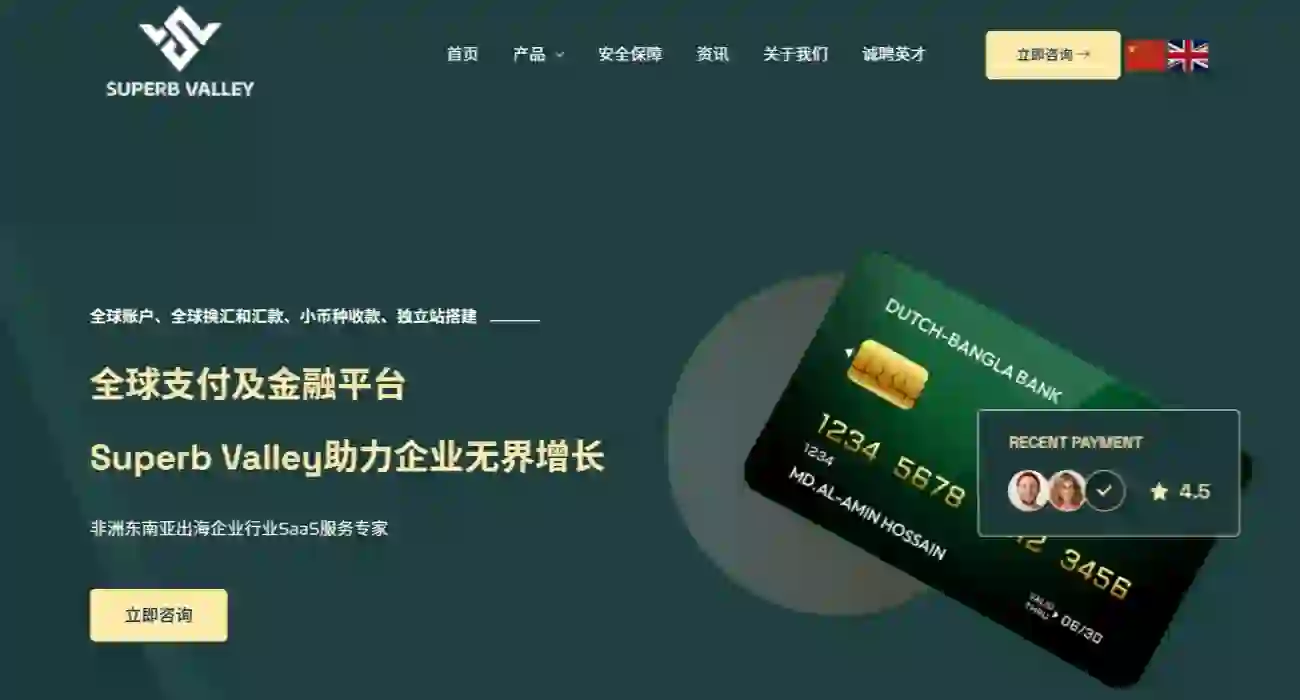 海外金融官网模板